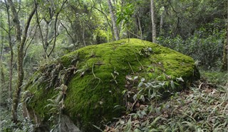 Col�gio Passionista S�o Paulo da Cruz -  - Venha ser Passionista