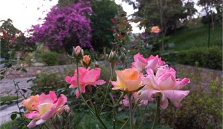 Col�gio Passionista S�o Paulo da Cruz -  - Venha ser Passionista