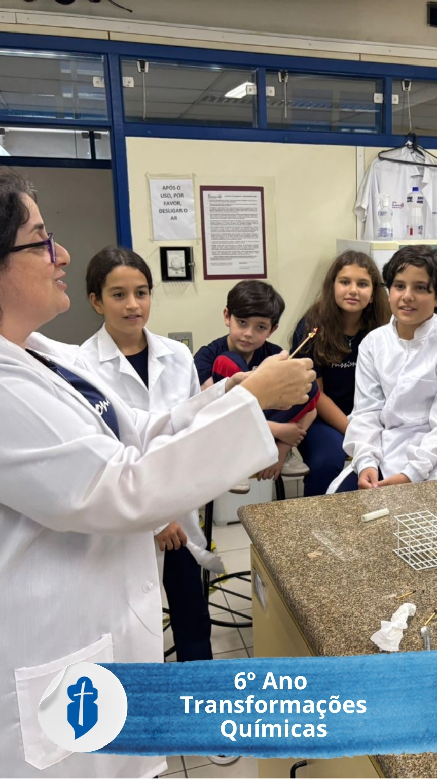 6� Ano - Transforma��es Qu�micas S�o Paulo da Cruz