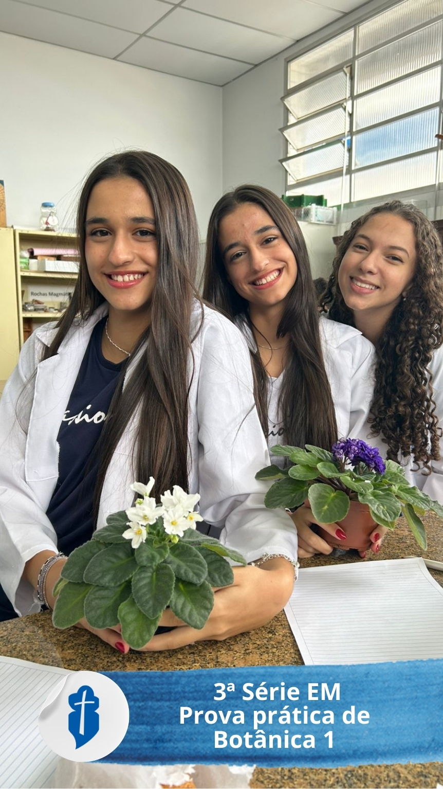 Biologia 3� S�rie do EM - Prova pr�tica de Bot�nica 1 S�o Paulo da Cruz
