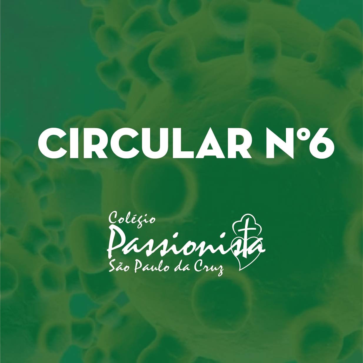 Circular n06 So Paulo da Cruz