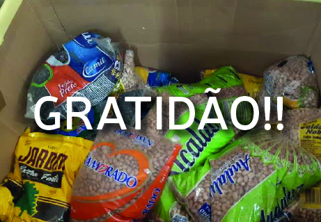 Doaes entregues para o Instituto Amparo Acolhedor So Paulo da Cruz