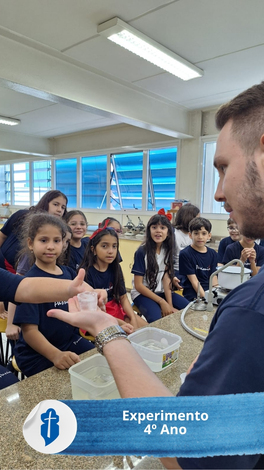 Experimento 4� Ano S�o Paulo da Cruz