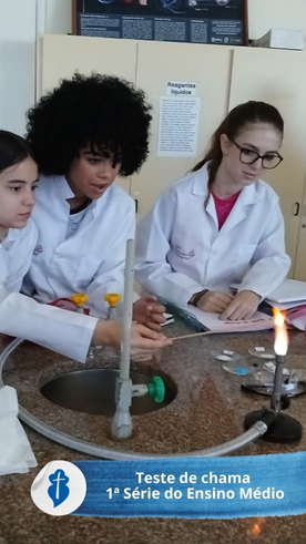 Teste de chama - 1 Srie do Ensino Mdio So Paulo da Cruz