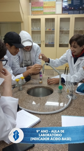 9 Ano - Aula de Laboratrio (Indicador cido-Base) So Paulo da Cruz