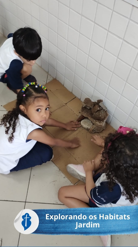 Explorando os Habitats: A Vida dos Animais Selvagens São Paulo da Cruz