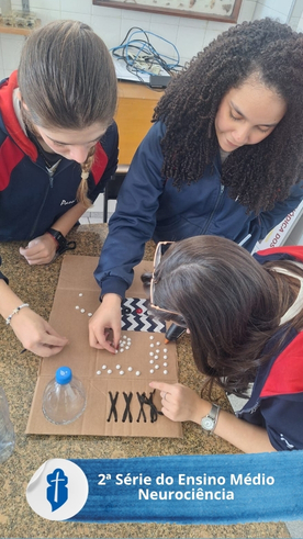 2� S�rie do Ensino M�dio - Aula de Neuroci�ncia  S�o Paulo da Cruz