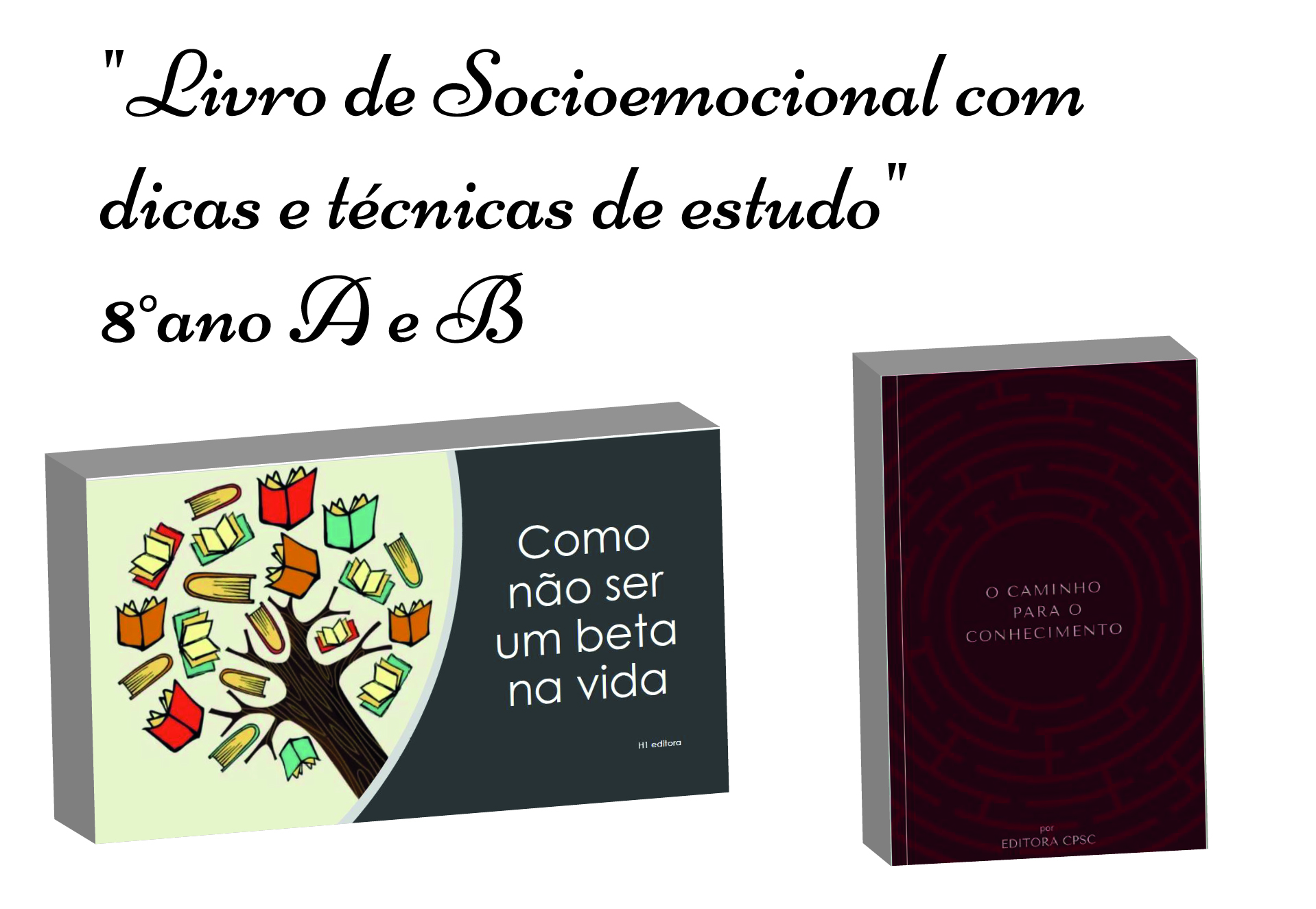 Livro - Tcnicas e sugestes de estudo para Socioemocional - 8os anos A e B So Paulo da Cruz