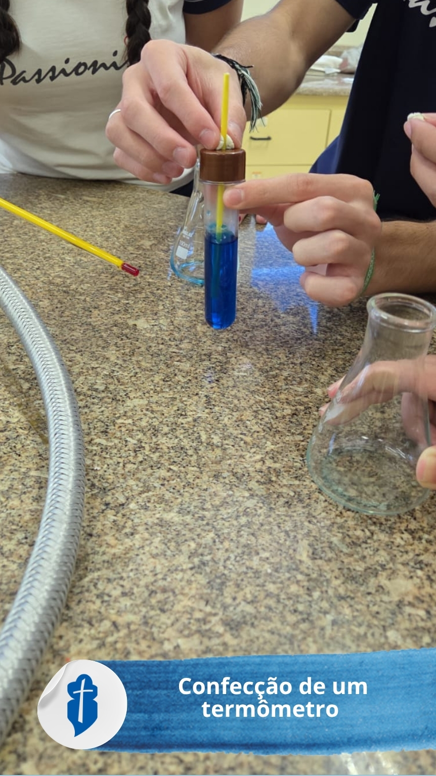 Confec��o de um term�metro com materiais de baixo custo S�o Paulo da Cruz